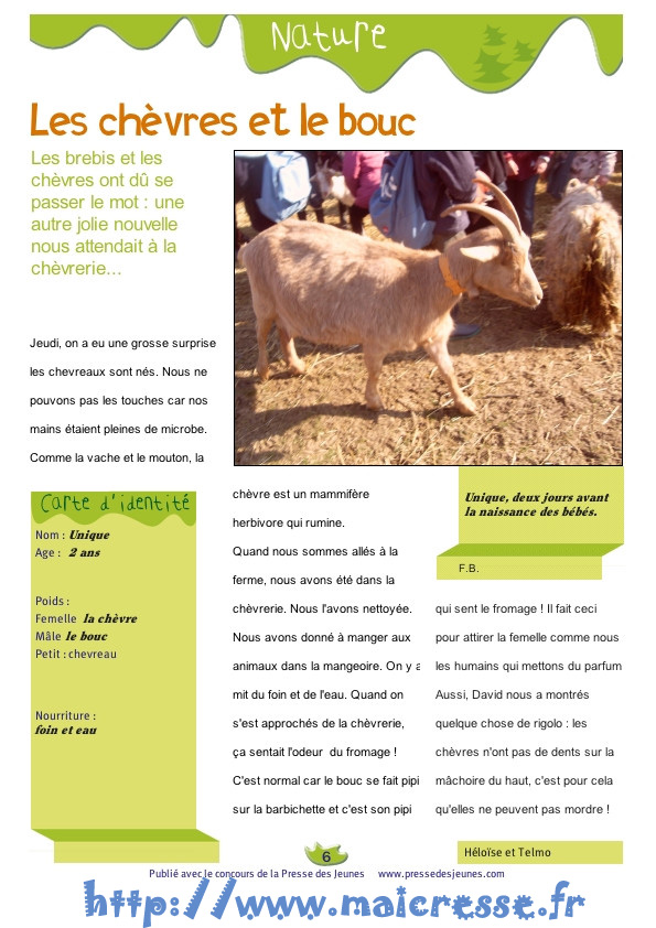 Créer un journal avec ses élèves