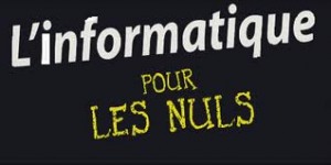 informatique pour les nuls pyramide des ages