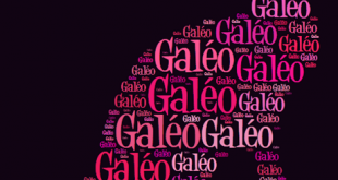 galeo-chat-avec-des-mots-silhouette