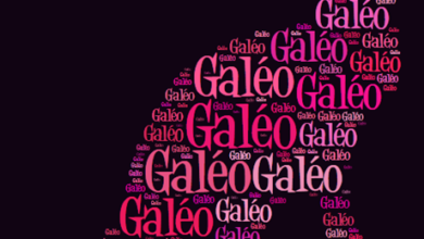 galeo-chat-avec-des-mots-silhouette