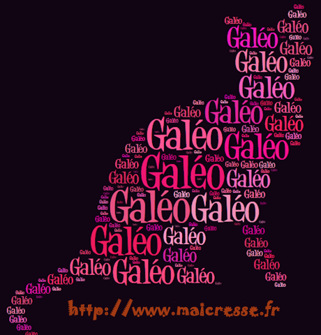 galeo-chat-avec-des-mots-silhouette