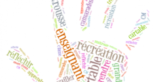 champ-lexical-ecole-TICE