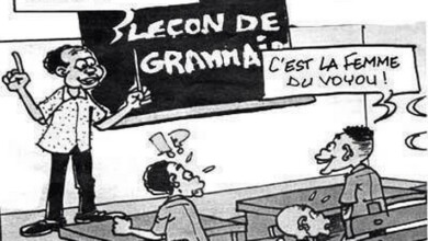 humour grammaire voyelle voyou