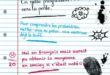 Comment rédiger les appréciations du LSU (Livret Scolaire Unique)?