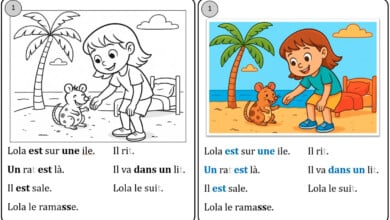 fiches de lectures cp alternative codeo sami julie
